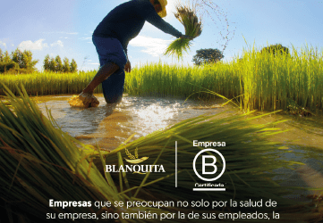 Arroz Blanquita dentro de los grandes del arroz en Colombia