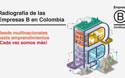 Radiografía de las empresas B en Colombia