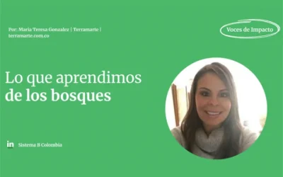 Los bosques son comunidades conectadas