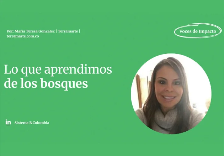 Los bosques son comunidades conectadas